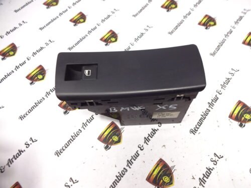 Botonera Elevalunas BMW X5 6925697