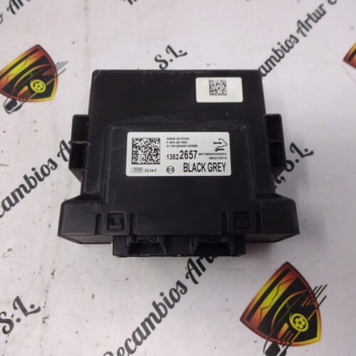 Unidad de control de la puerta Opel Mokka 13522657 F00HJ01922