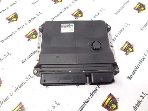 Centralita del motor Toyota RAV 4 8966142J20 89661-42J20 275900-0382