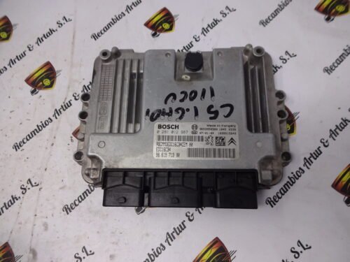 Centralita del motor CITROËN Peugeot 0281012987 9661971380