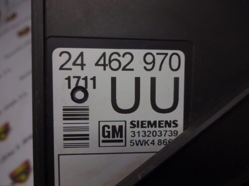 Unidad de control OPEL 24462970 5WK48665