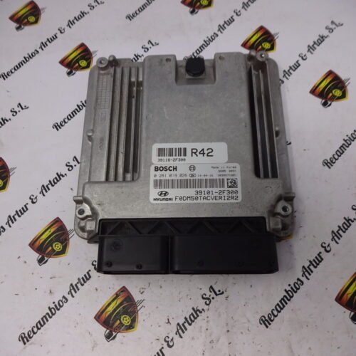 Centralita del motor Hyundai 0281019026 39101-2F300 391012F300  391162F300