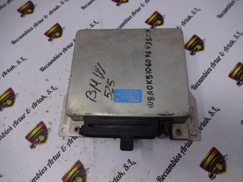 Centralita del motor BMW 0280001309 12877249