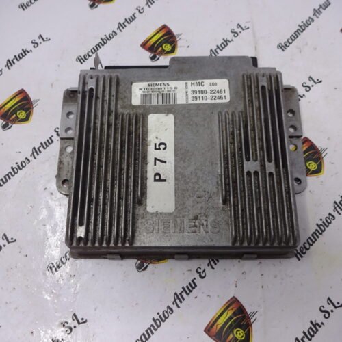 Centralita del motor Hyundai 39100-22461 3910022461 39110-22461 3911022461
