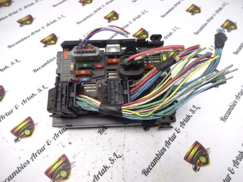 BSM Caja de fusibles Citroen C5 Peugeot 406 9667044980 BSM-R02-00