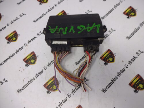 Unidad de control Renault Laguna 7700844810