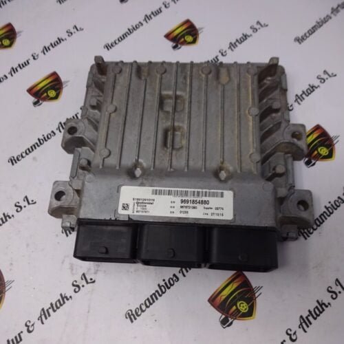Centralita del motor Peugeot Citroen FIAT 9691854880 S180129101N SID208 9676721380