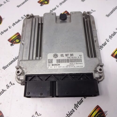 Centralita del motor VW Passat 0281015029 03L907309