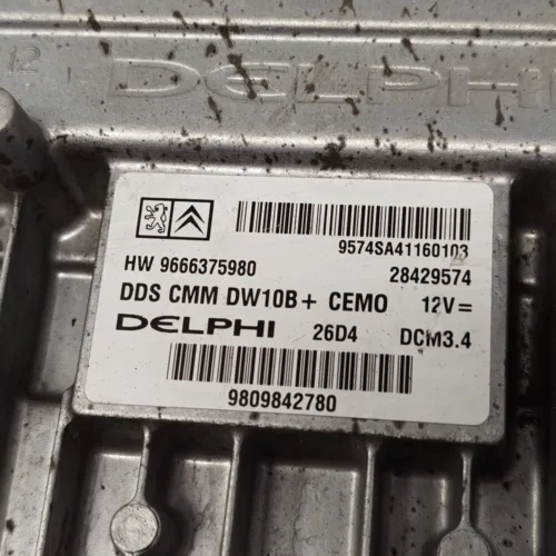 9809842780 9666375980