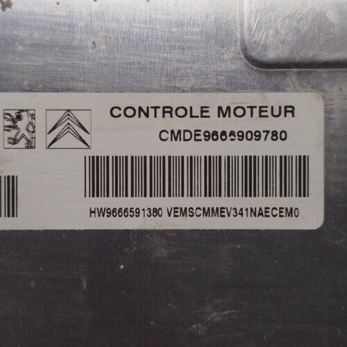 IMG_20260604_121541 Centralita del motor Peugeot CITROEN 9666909780 9666591380