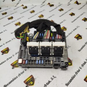 BSM Caja de fusibles Citroen Peugeot 9807091780 BSM-Z03-01
